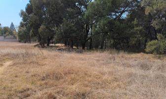 Foto de inmueble en 90440 Tlax., Col. San Simón Tlatlahuquitepec C.P. 90440, Xaltocan