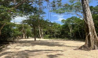 Foto de inmueble en 77582 Central Vallarta, Q.R., Col. Puerto Morelos C.P. 77580, Puerto Morelos
