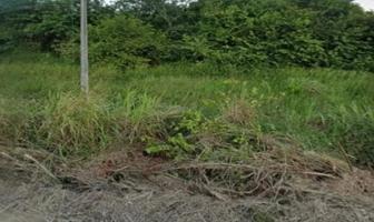 Foto de inmueble en CAMINO A TLALIXCOYAN #s/n, Col. Cerro la Palma C.P. 95235, Tlalixcoyan