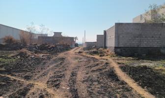 Foto de inmueble en LOS PIRULES, Col. La Soledad C.P. 90575, El Carmen Tequexquitla