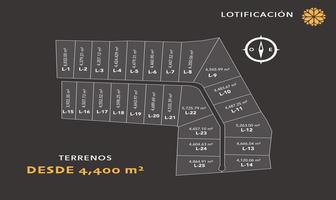Foto de inmueble en Terreno en Venta en Yucatan EL Tajonal, Col. Cacalchen C.P. 97460, Cacalchén