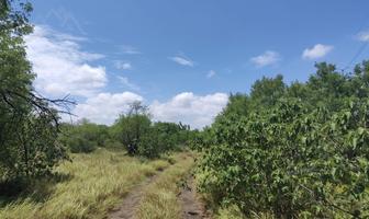 Foto de inmueble en , Col. Cadereyta C.P. 67485, Cadereyta Jiménez