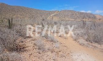 Foto de inmueble en Calle conocida, Col. El Pescadero C.P. 23300, La Paz