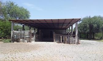 Foto de inmueble en Calle sin nombre, Col. Paseo de los Olmos C.P. 87130, Victoria