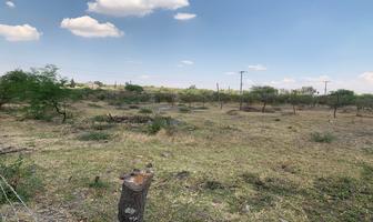 Foto de inmueble en Calzada del Trueno, Col. Jardines de La Calera C.P. 45676, Tlajomulco de Zúñiga