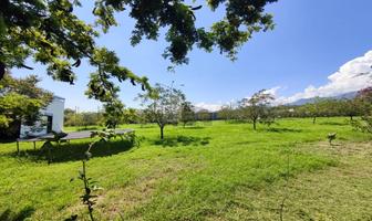 Foto de inmueble en Camino a los Laureles #106, Col. Loma Prieta C.P. 67610, Montemorelos