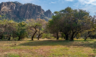 Foto de inmueble en Camino a Meztitla, Col. Santo Domingo C.P. 62520, Tepoztlán