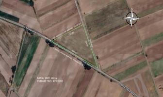 Foto de inmueble en Camino a San Rafael Tenayeca, Col. San Baltasar Temaxcalac C.P. 74126, San Martín Texmelucan