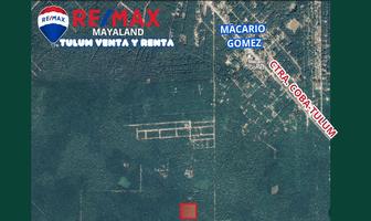 Foto de inmueble en camino blanco, Col. Francisco Uh-May C.P. 77796, Tulum