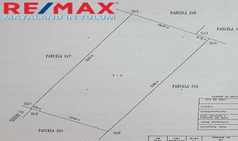 Foto de inmueble en camino blanco, Col. Tulum Centro C.P. 77760, Tulum