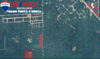 Foto de inmueble en camino, Col. Francisco Uh-May C.P. 77796, Tulum