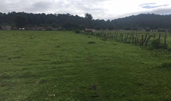 Foto de inmueble en Camino sin nombre, El Manzano, Col. Cerro Gordo C.P. 51239, Valle de Bravo
