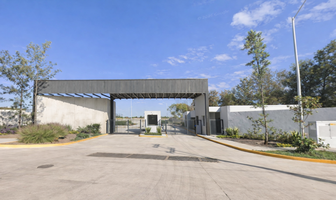 Foto de inmueble en Camino viejo a los Laureles, Col. El Zapote Del Valle C.P. 45672, Tlajomulco de Zúñiga