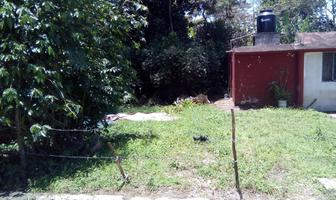 Foto de inmueble en  , Col. Campo Viejo C.P. 91540, Coatepec