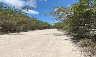 Foto de inmueble en  , Col. Cancún (Internacional de Cancún) C.P. 77569, Benito Juárez