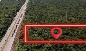 Foto de inmueble en  , Col. Cancún (Internacional de Cancún) C.P. 77569, Benito Juárez