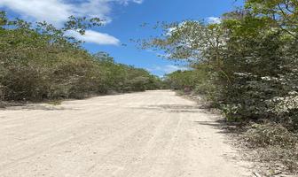 Foto de inmueble en  , Col. Cancún (Internacional de Cancún) C.P. 77569, Benito Juárez