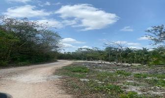 Foto de inmueble en  , Col. Cancún (Internacional de Cancún) C.P. 77569, Benito Juárez