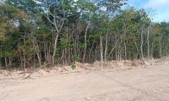 Foto de inmueble en  , Col. Cancún (Internacional de Cancún) C.P. 77569, Benito Juárez