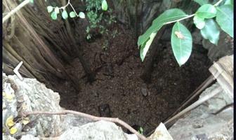 Foto de inmueble en  , Col. Cantamayec C.P. 97915, Cantamayec
