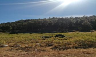 Foto de inmueble en  , Col. Carichi C.P. 33280, Carichí