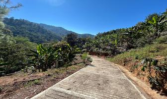 Foto de inmueble en Carretera 131, Col. San Jerónimo Coatlan C.P. 70844, San Jerónimo Coatlán