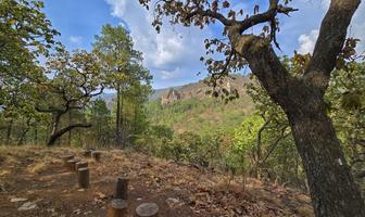 Foto de inmueble en Carretera a Chiquilistlan, Col. Tapalpa C.P. 48659, Tapalpa