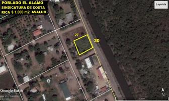 Foto de inmueble en carretera a ciosta rica, Col. El Álamo C.P. 80394, Culiacán