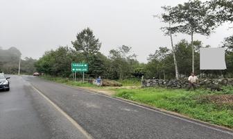 Foto de inmueble en Carretera a las cruces #A, Col. El Fresno C.P. 91353, Tlacolulan