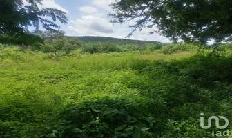 Foto de inmueble en carretera alpuyeca -grutas km 3, Col. Coaxcomac C.P. 62797, Xochitepec