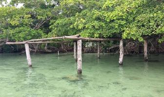Foto de inmueble en Carretera Bacalar - Xtomoc, Col. Bacalar Dos C.P. 77900, Bacalar