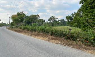 Foto de inmueble en Carretera Buena Vista- Rio Viejo, Col. Buena Vista Río Nuevo 2a Sección C.P. 86283, Centro