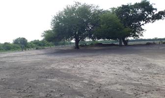 Foto de inmueble en CARRETERA  ESTACION MANUEL KM8+500, Col. Aldama C.P. 89670, Aldama