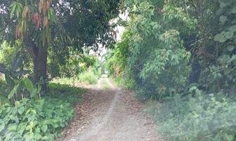Foto de inmueble en Carretera Estatal Vhsa - Luis Gil Perez Km 8, Col. Boquerón (San Pedro) C.P. 86294, Centro