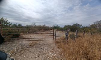 Foto de inmueble en CARRETERA LLERA DE CANALES-GONZALEZ, Col. Xicotencatl C.P. 89750, Xicoténcatl