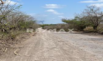 Foto de inmueble en Carretera Martínez de la Torre -Canoas, Col. Panuco Centro C.P. 93990, Pánuco