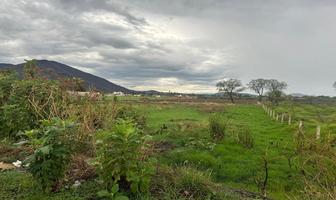 Foto de inmueble en Carretera Tala - Santa Cruz de las Flores, Col. San Isidro Mazatepec C.P. 45340, Tala