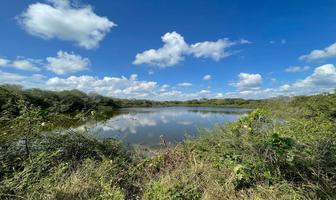 Foto de inmueble en Carretera Tampico-Mante, Col. Santa Gertrudis C.P. 89613, Altamira
