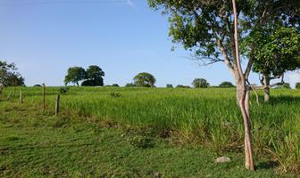 Foto de inmueble en CARRETERA TUXPAN-TAMPICO, Col. Ozuluama de Mascareñas C.P. 92080, Ozuluama de Mascareñas