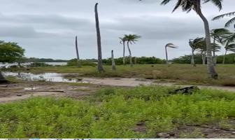 Foto de inmueble en CARRETERA VECINAL TORNO LARGO INTERIOR SN RANCHERIA, Col. Puerto Ceiba (Carrizal) C.P. 86610, Paraíso
