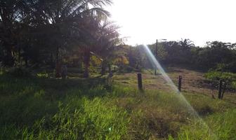 Foto de inmueble en  , Col. Carrizal Cinco de Febrero C.P. 96926, Minatitlán