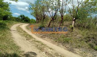 Foto de inmueble en  , Col. Carrizal C.P. 93520, Papantla