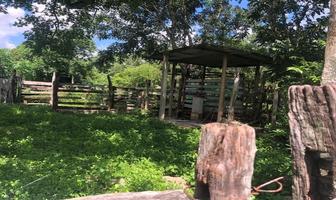 Foto de inmueble en  , Col. Centro Hunucmá C.P. 97350, Hunucmá