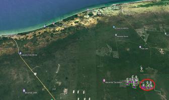 Foto de inmueble en Terreno EN Venta DE 5000 M2  EN Hunucmá Yucatán, Col. Centro Hunucmá C.P. 97350, Hunucmá