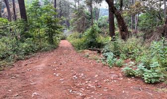 Foto de inmueble en CERRADA DEL CAPULIN, CIRCUITO AVANDARO , Col. Valle de Bravo C.P. 51200, Valle de Bravo