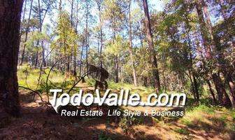 Foto de inmueble en Cerro Gordo, Valle de Bravo, Estado De México, 51200, Col. Loma Bonita C.P. 51200, Valle de Bravo