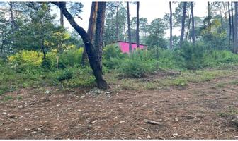 Foto de inmueble en  , Col. Cerro Gordo C.P. 51239, Valle de Bravo