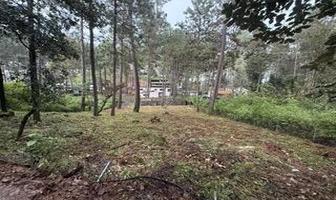 Foto de inmueble en , Col. Cerro Gordo C.P. 51239, Valle de Bravo