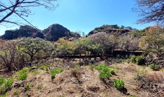 Foto de inmueble en Tepehuajes  #s/n, Col. Santo Domingo Ocotitlán C.P. 62524, Tepoztlán