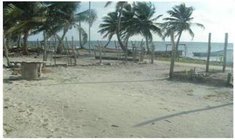 Foto de inmueble en  , Col. Chetumal Centro C.P. 77000, Othón P. Blanco
